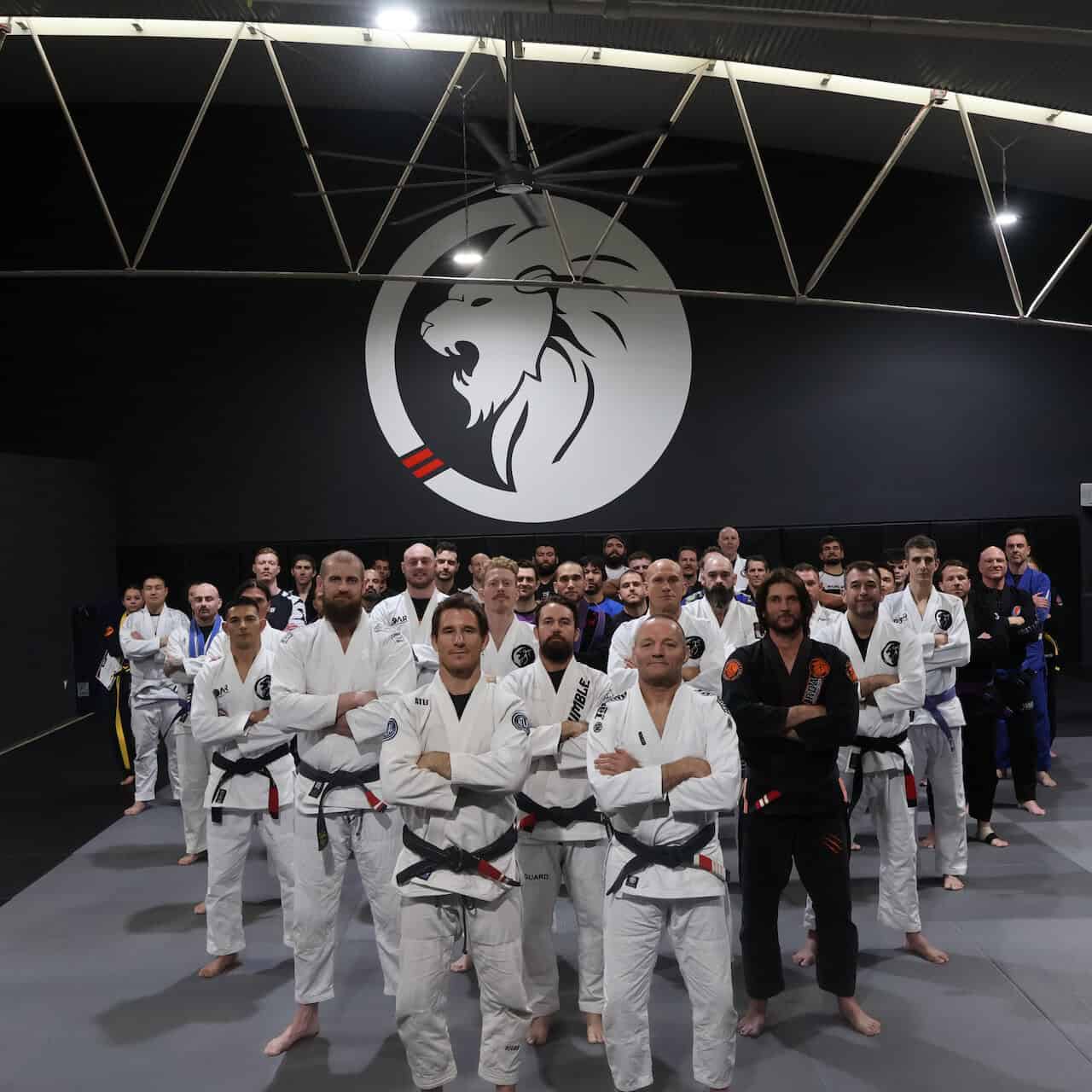 Bjj lineup