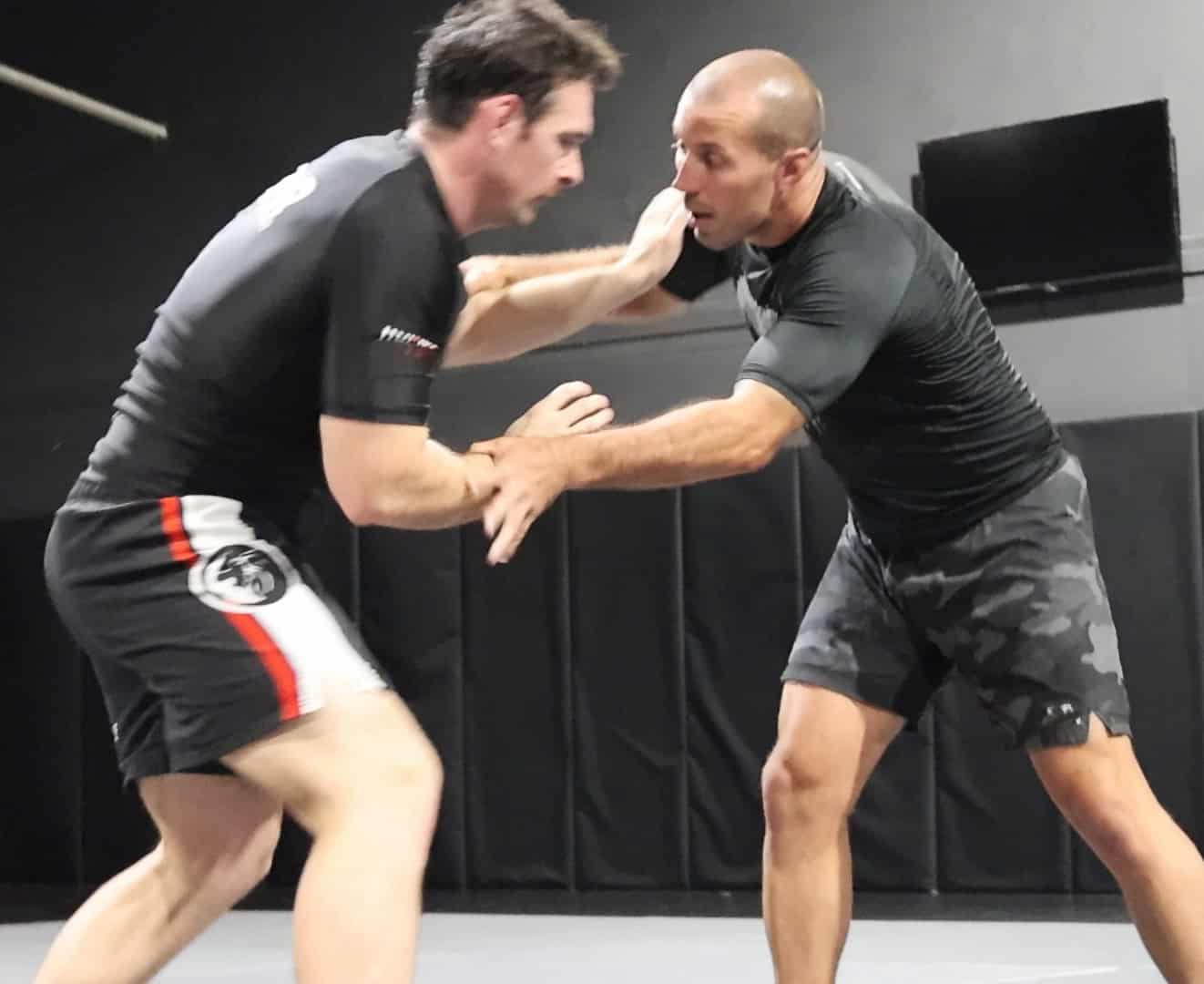 Freestyle wrestling