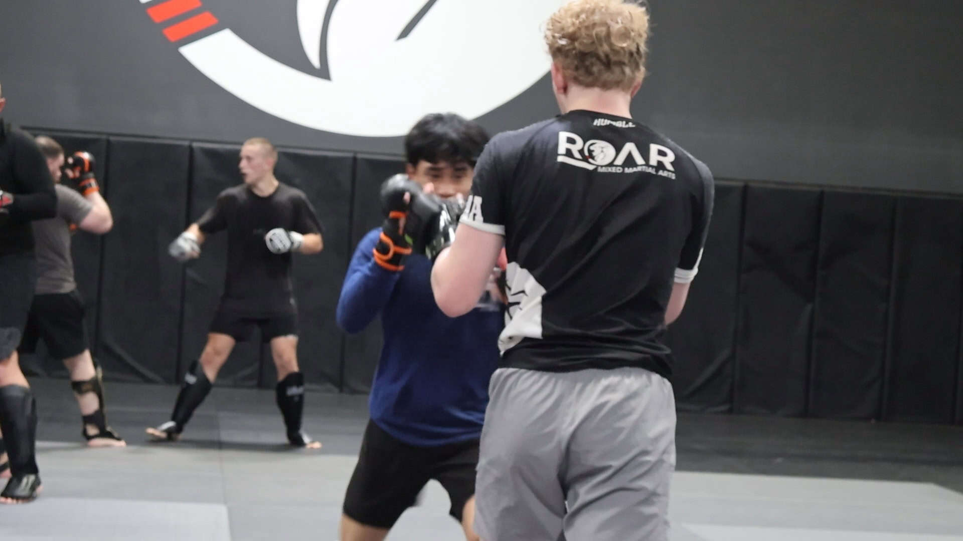 Mma sparring