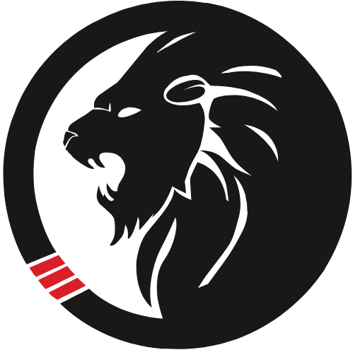 Roar MMA Emblem